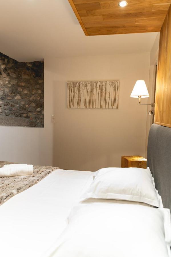 La Cour Filaterie - Suite Au D'Annecy Pdj En Option Exterior photo